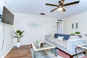 Smart TV, fireplace, books