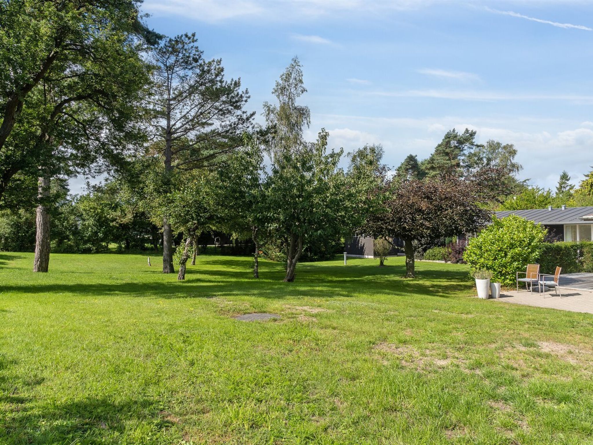 Un espace vert avec de l’herbe, des arbres et un bâtiment en arrière-plan.