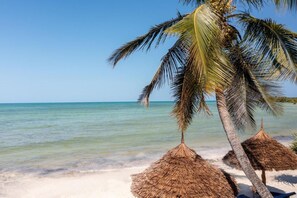 On the beach - 1 bedroom aparthotel in pongwe (Pongwe)