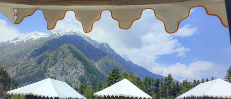 Vista desde la propiedad