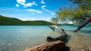Un lac aux eaux limpides, avec un arbre renversé au premier plan, entouré de collines verdoyantes et sous un ciel bleu.