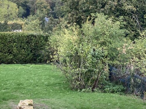 Maison paisible avec jardin, WiFi et animaux acceptés