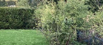 Peaceful house with garden, WiFi and pets allowed