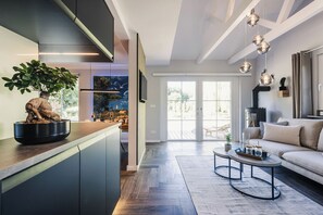 TV connectée, cheminée, livres, chaîne hi-fi