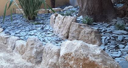 STUDIO NEUF RDC TERRASSE + EXTERIEUR PAYSAGE