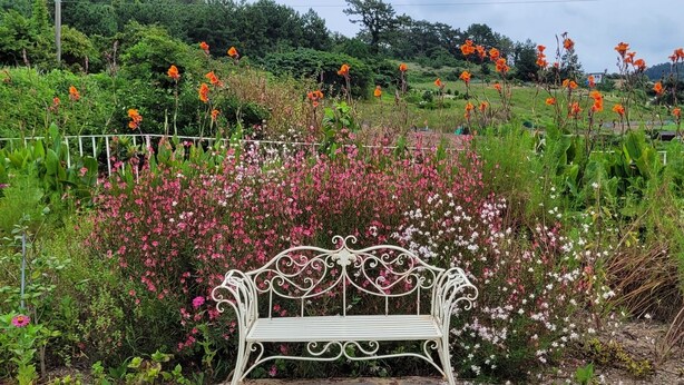 A white metal bench surrounded by a variety of flowers and greenery. - Dream field house (Yeosu)