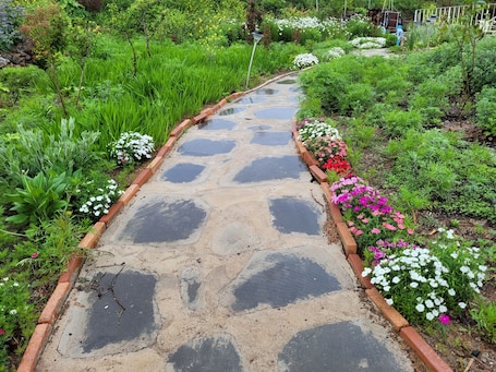 Garden. Dream field house