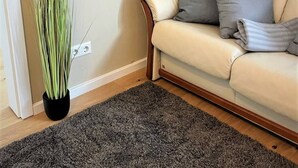 Ein beiges Sofa mit zwei Kissen, ein dunkelgrauer Teppich und eine hohe, grüne Pflanze im schwarzen Topf.
