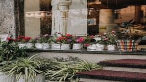 Una hilera de macetas con flores en un alféizar, fuera de un edificio.