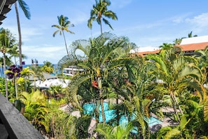 Ein tropisches Resort mit Pool, umgeben von Palmen und blauem Himmel.