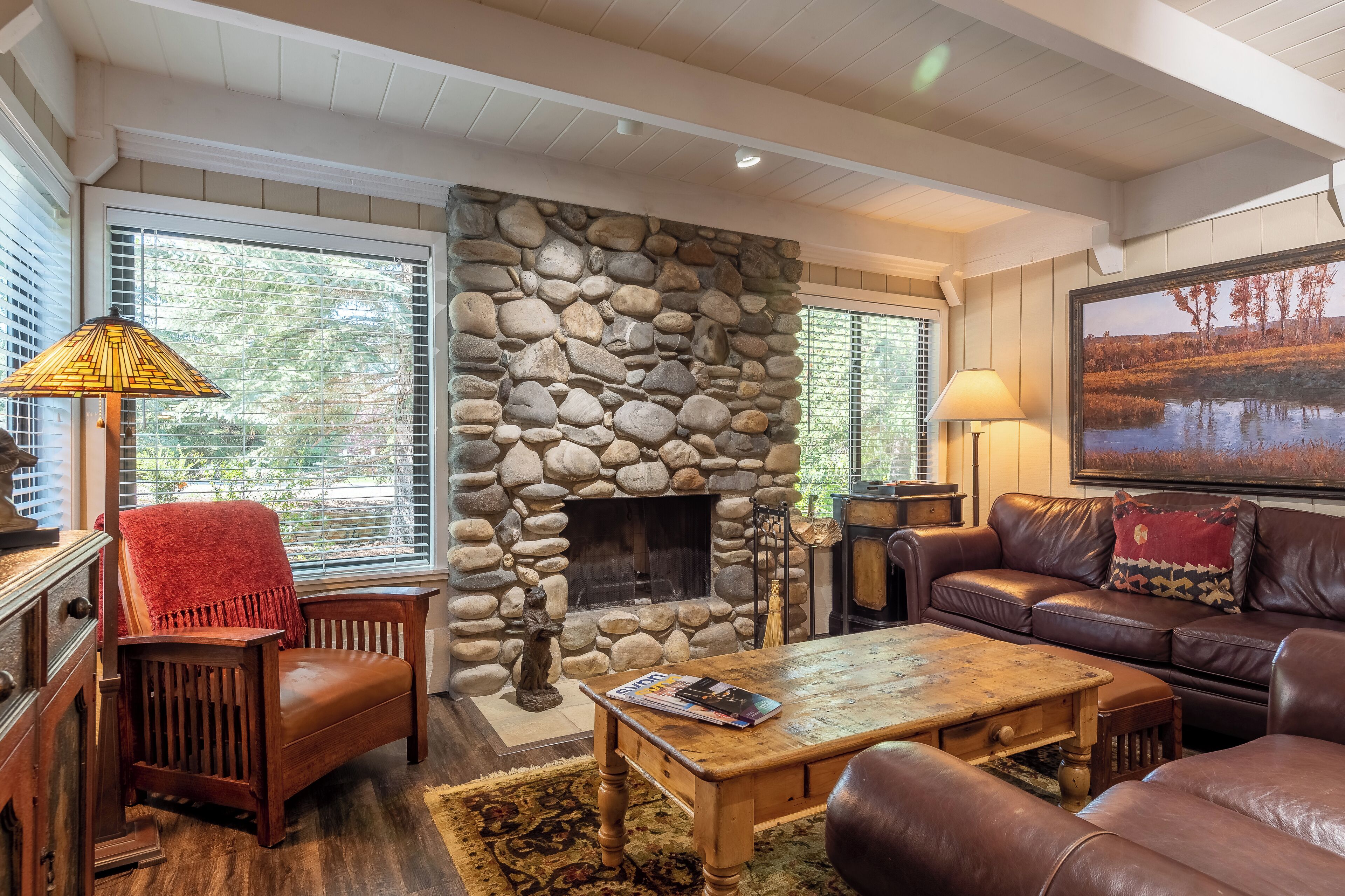 TV, fireplace, books