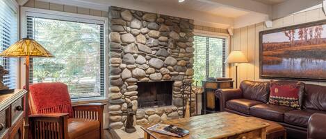 TV, fireplace, books