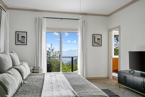 5 bedrooms, free WiFi, bed sheets - Five Bedroom Gameroom Hot Tub StarLink (Asheville)