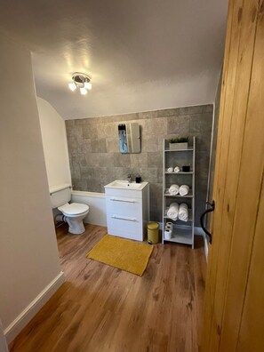 Shower, hair dryer, towels, toilet paper