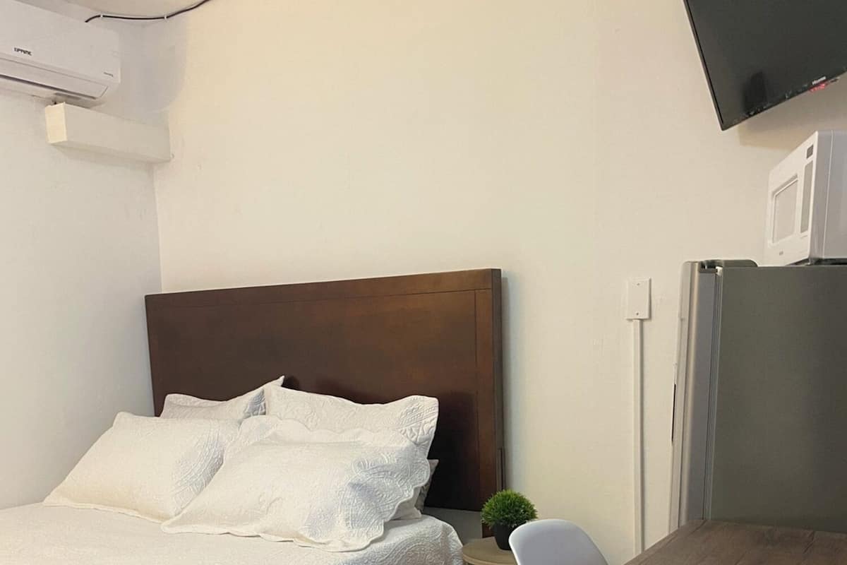 Un dormitori amb un llit, escriptori, cadira, petita planta en test, televisió i nevera.