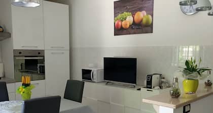 The house of memories