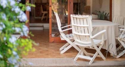 R149 Casa Palmera Alorda