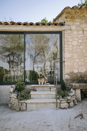 Exterior detail - The Aviary - Pernes-les-Fontaines (Pernes-les-Fontaines)