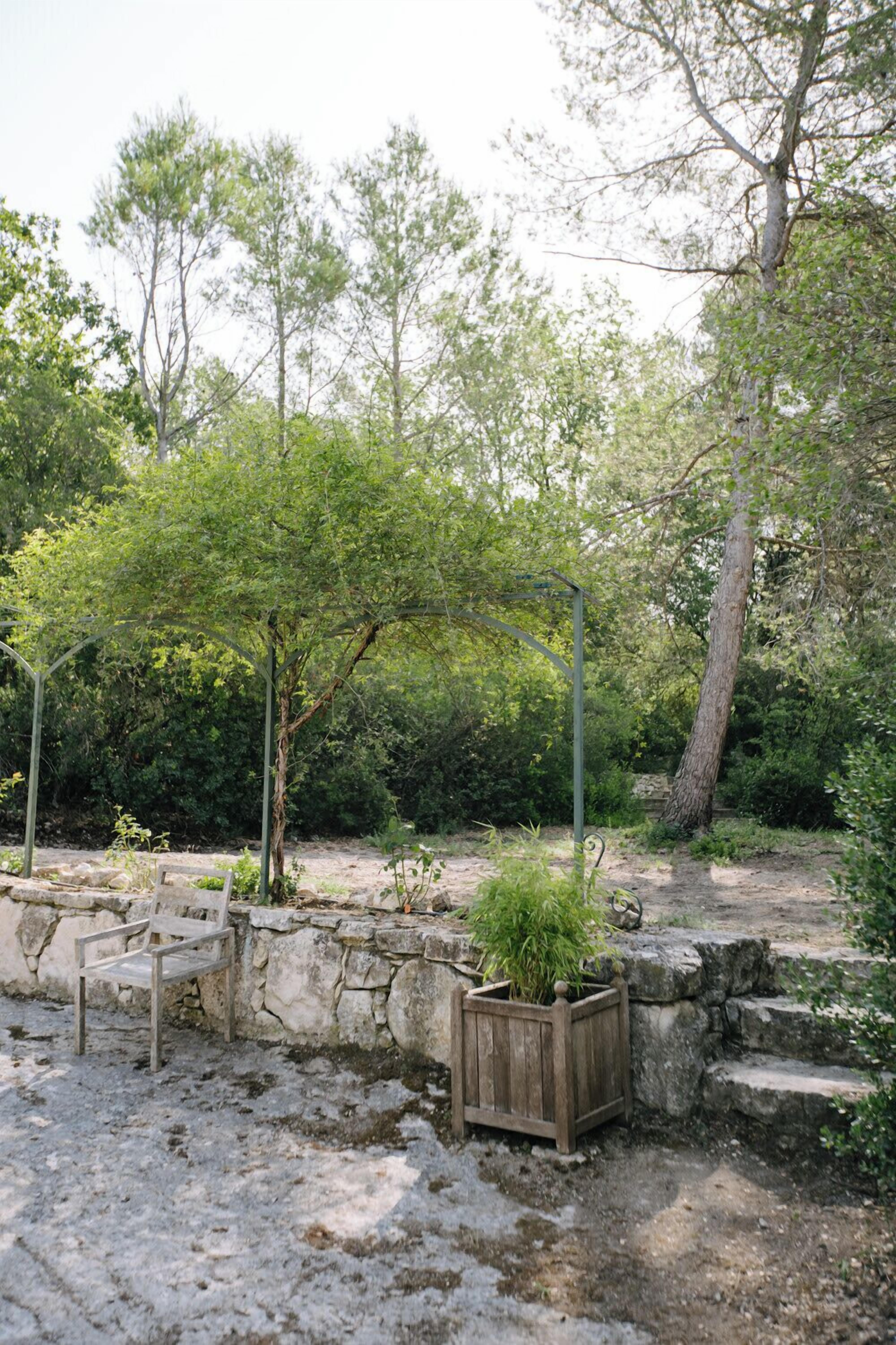 A garden with a stone wall, a wooden bench, and a potted plant.