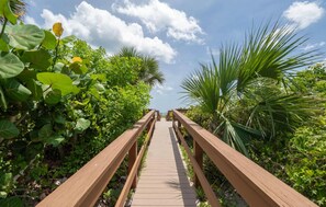 Property grounds - Ocean View Condo on 8 Acre Direct Beachfront Complex (Cocoa Beach)