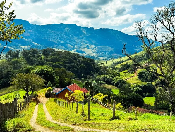 A rural landscape with a path leading to a house with a red roof, surrounded by lush greenery and hills in the background.