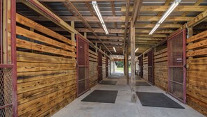 A stable with wooden walls and metal gates, a concrete floor, and overhead fluorescent lighting. - Green Acres House sleeps 6.  (Citra)
