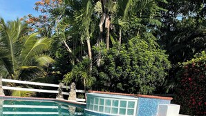 Unclassified image, 4 of 35, button - B & B Kasi at Paradise (Las Uvas)