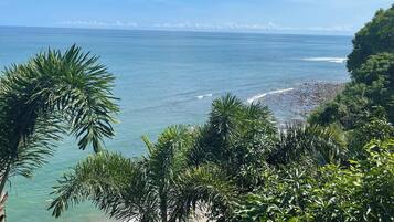 Beach/ocean view