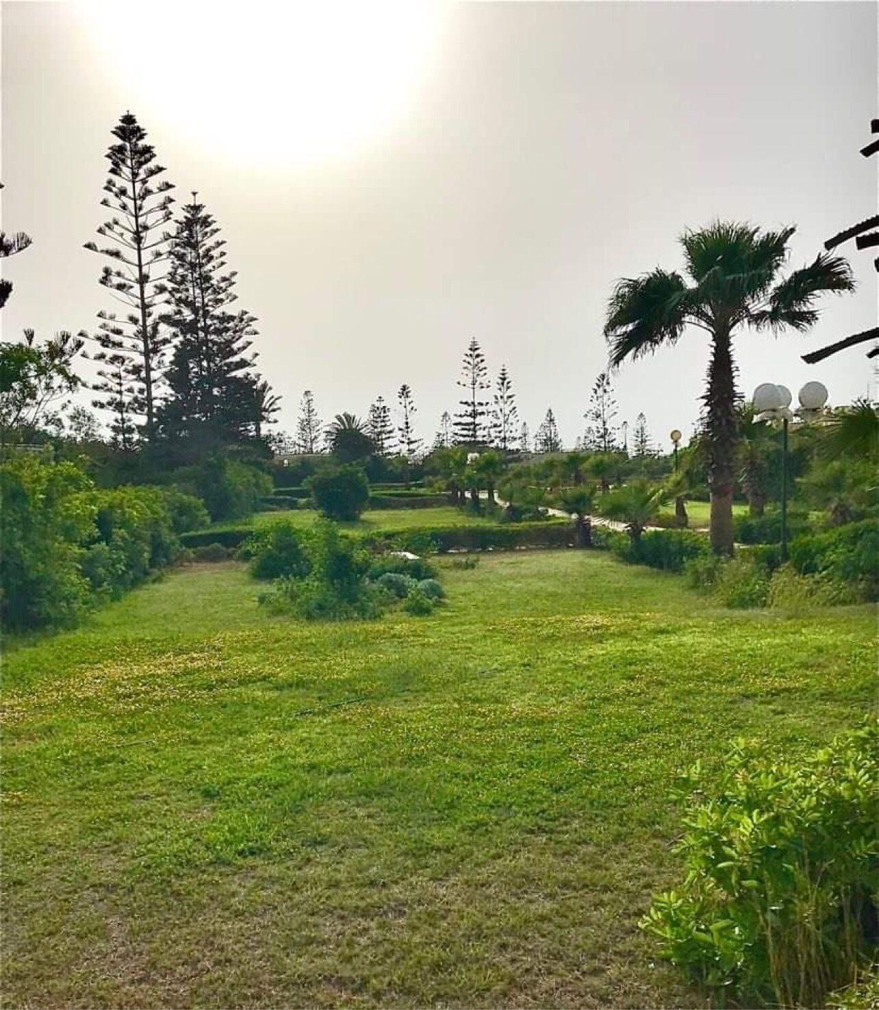 Overnattingsstedets uteområder