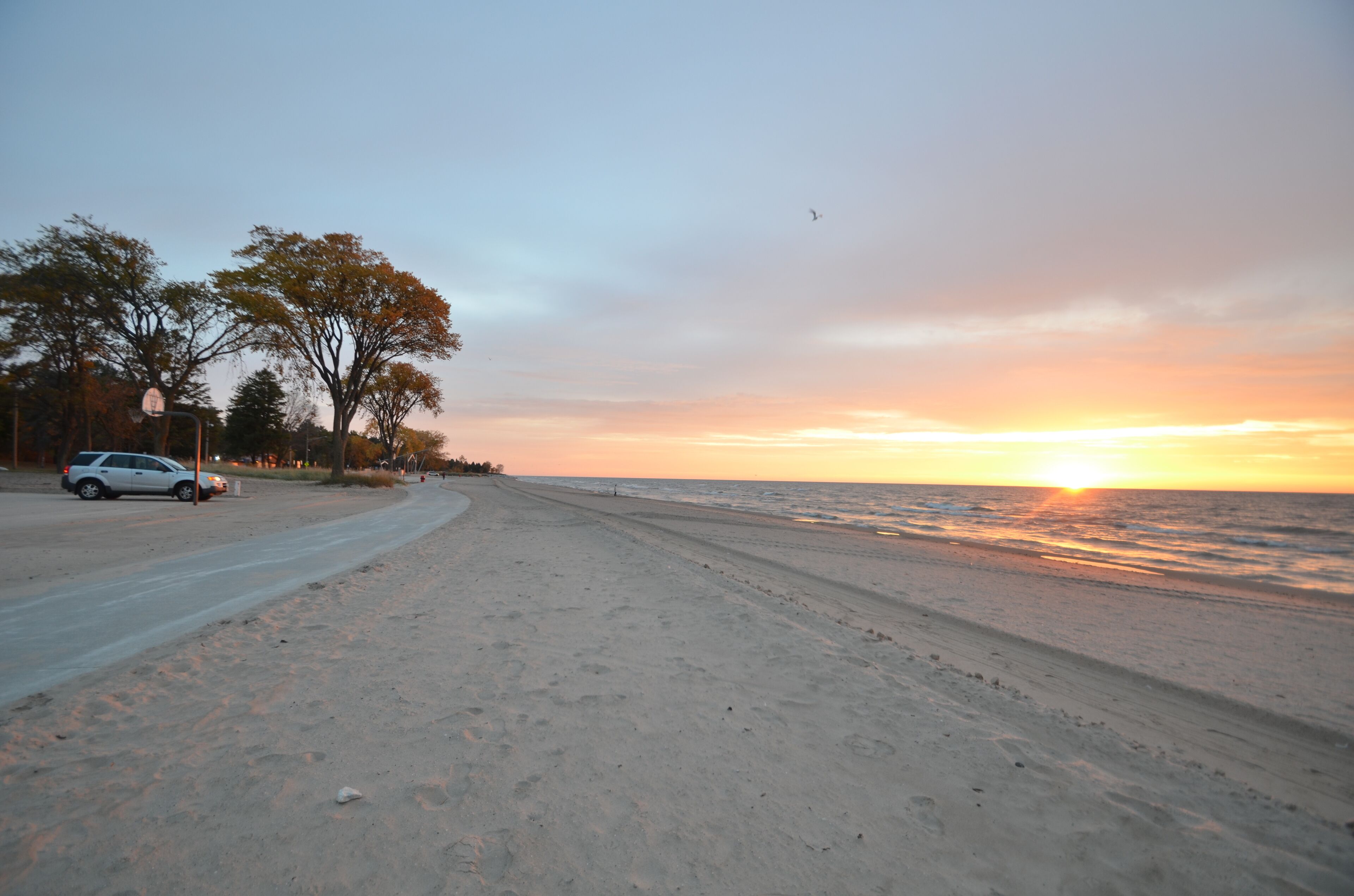 Une plage avec une route et des arbres.