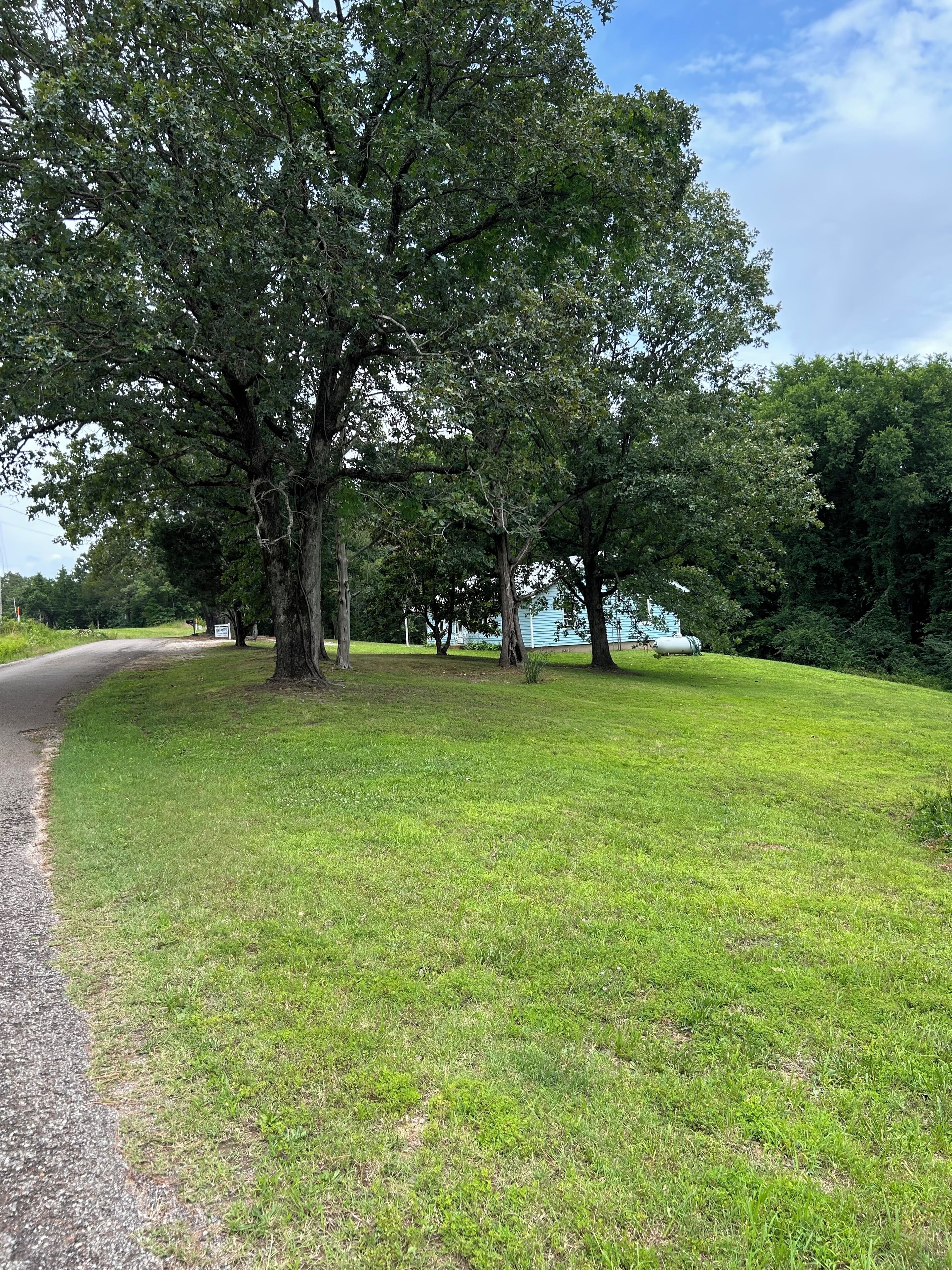 A grassy area with trees and a paved path.