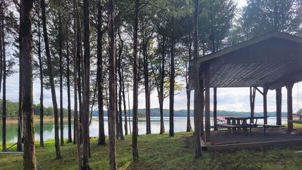 A covered picnic area with benches, surrounded by tall trees and a lake. - Maples Lakefront Blessing w/ private boat dock/lake access kayaks & paddle boat (Sevierville)