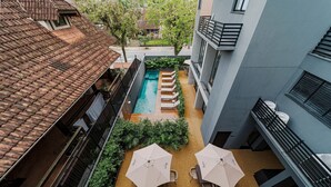 Un espace piscine aménagé sur le toit, avec des chaises longues et des parasols, entouré de verdure et bordé d’immeubles.