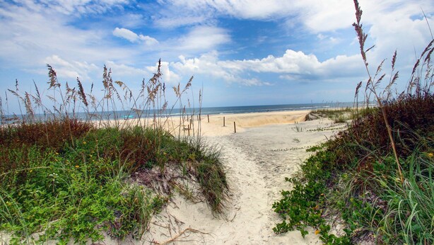 Ein sandiger Strandweg, gesäumt von Vegetation, der zum Meer führt.