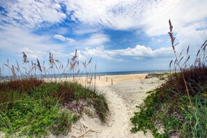 A sandy beach path with vegetation on either side, leading to the ocean.