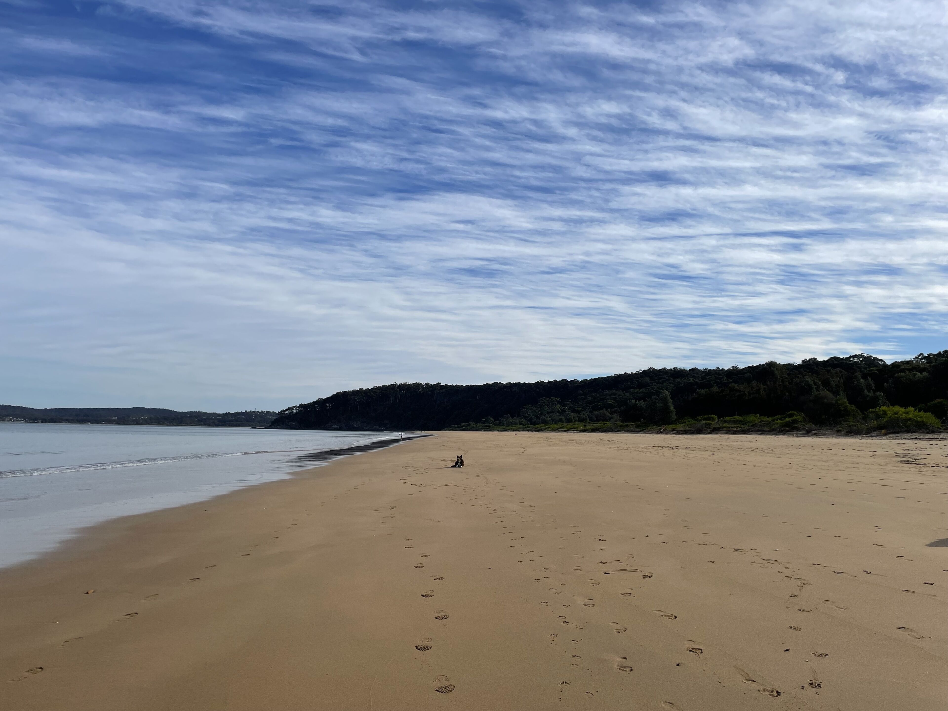 On the beach, sun-loungers
