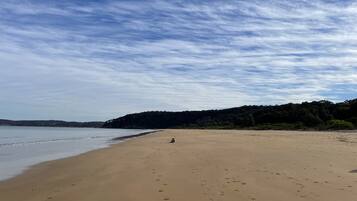 On the beach, sun-loungers