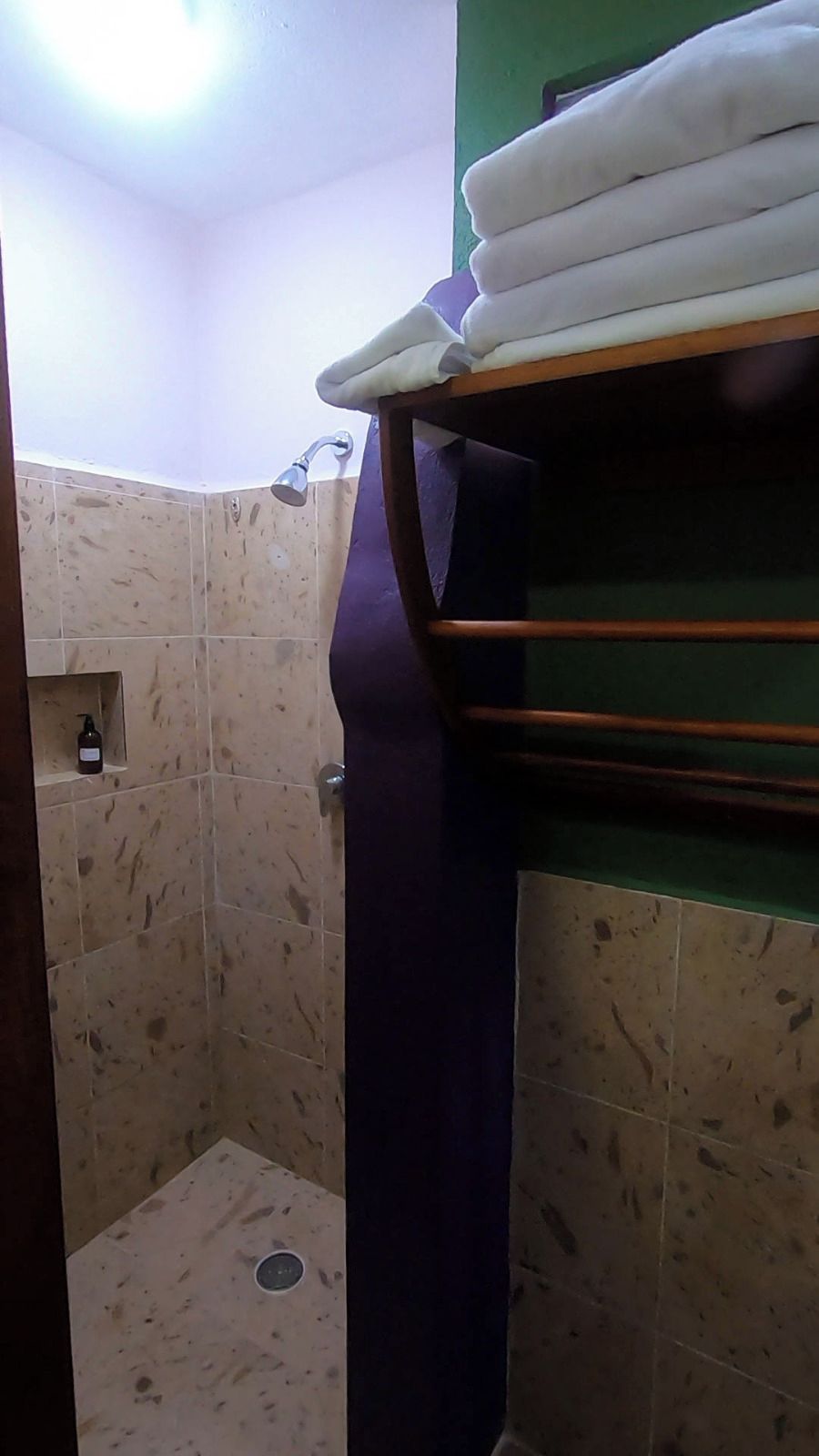 Un baño con ducha, toallero y repisa con una botella.