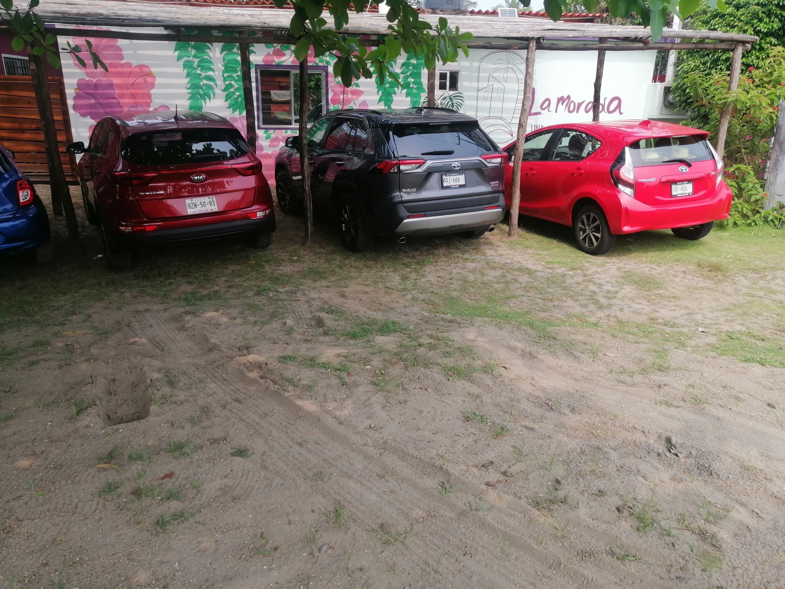 Three cars parked in a driveway with a mural of flowers and palm trees on the wall behind them.