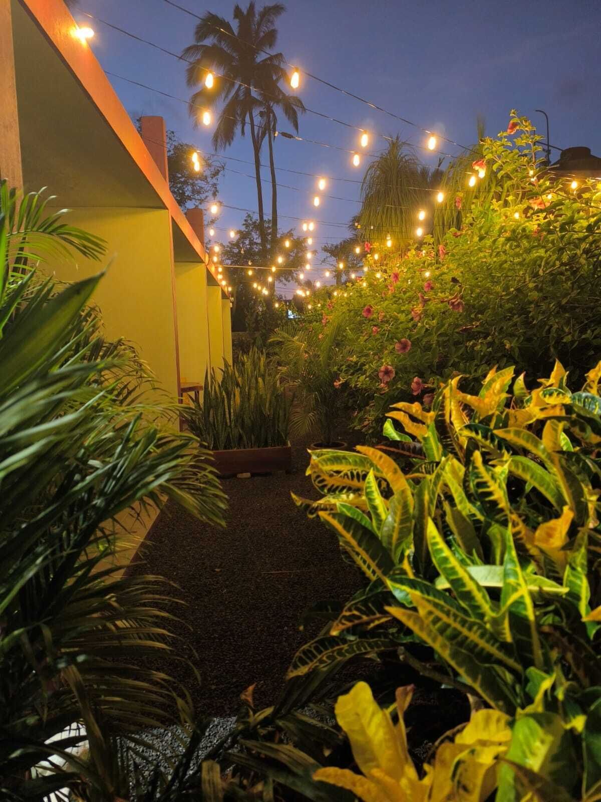 Un sentier de jardin illuminé de guirlandes lumineuses, bordé de palmiers et agrémenté de différentes plantes.