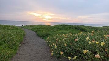 A pathway leading to the sea with a sunset in the background.