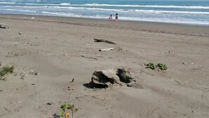 Een strand met een heldere lucht, golven en twee mensen die wandelen.