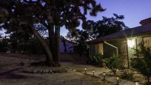 Una casa con camino de entrada pavimentado, un árbol grande e iluminación exterior.
