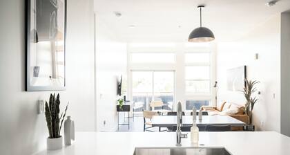 Skytop Perspective | 2BR LoHi Loft