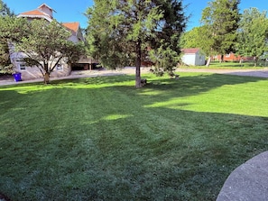 Un área verde y cuidada, con árboles y cielo despejado.