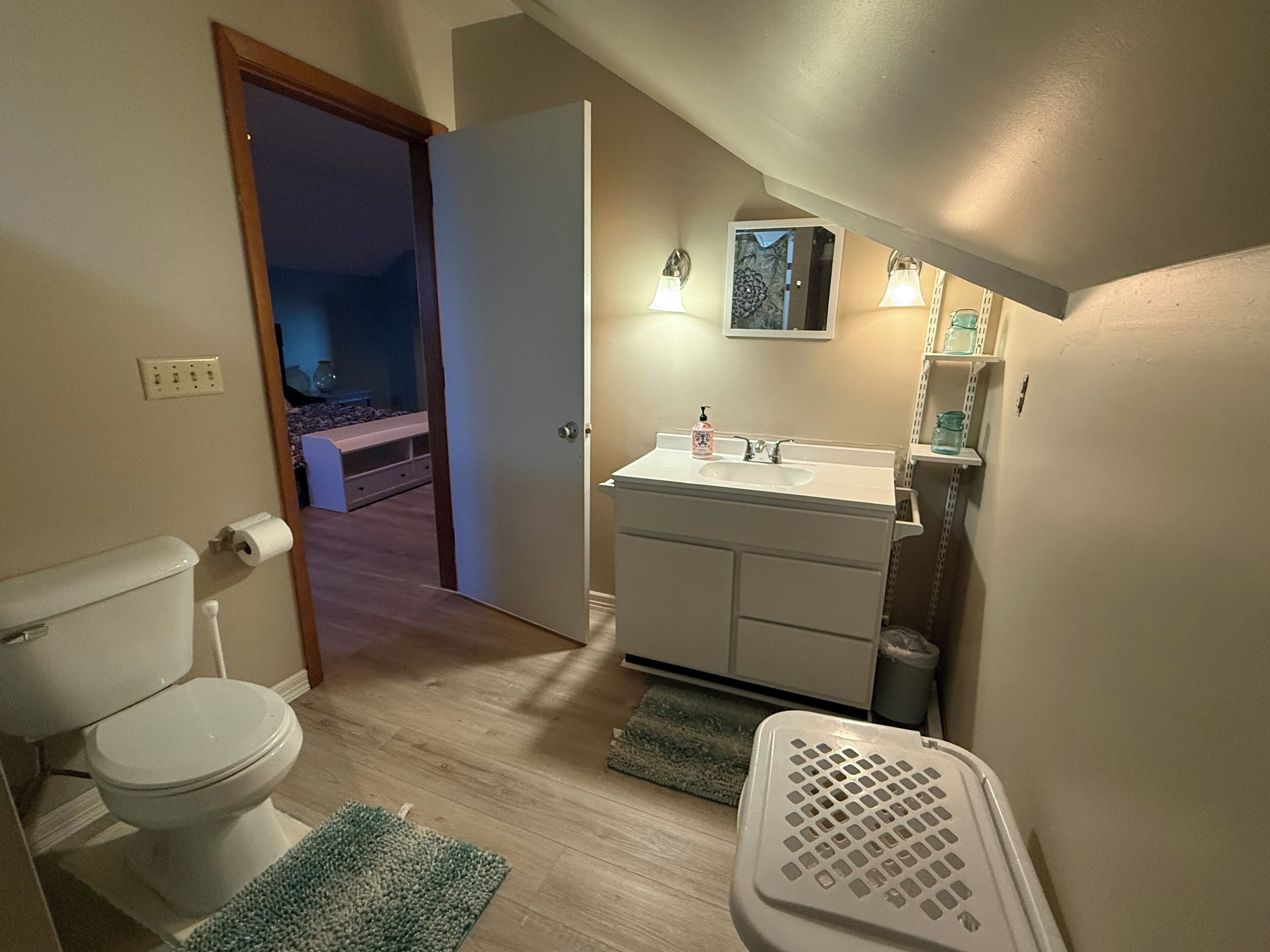 Hair dryer, towels, soap, toilet paper