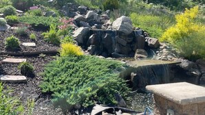 Un jardin agrémenté d’une cascade artificielle en roches, de différentes plantes et d’un banc en pierre.