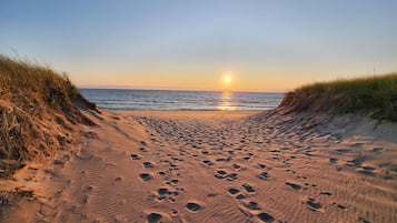 Chaises longues, serviettes de plage
