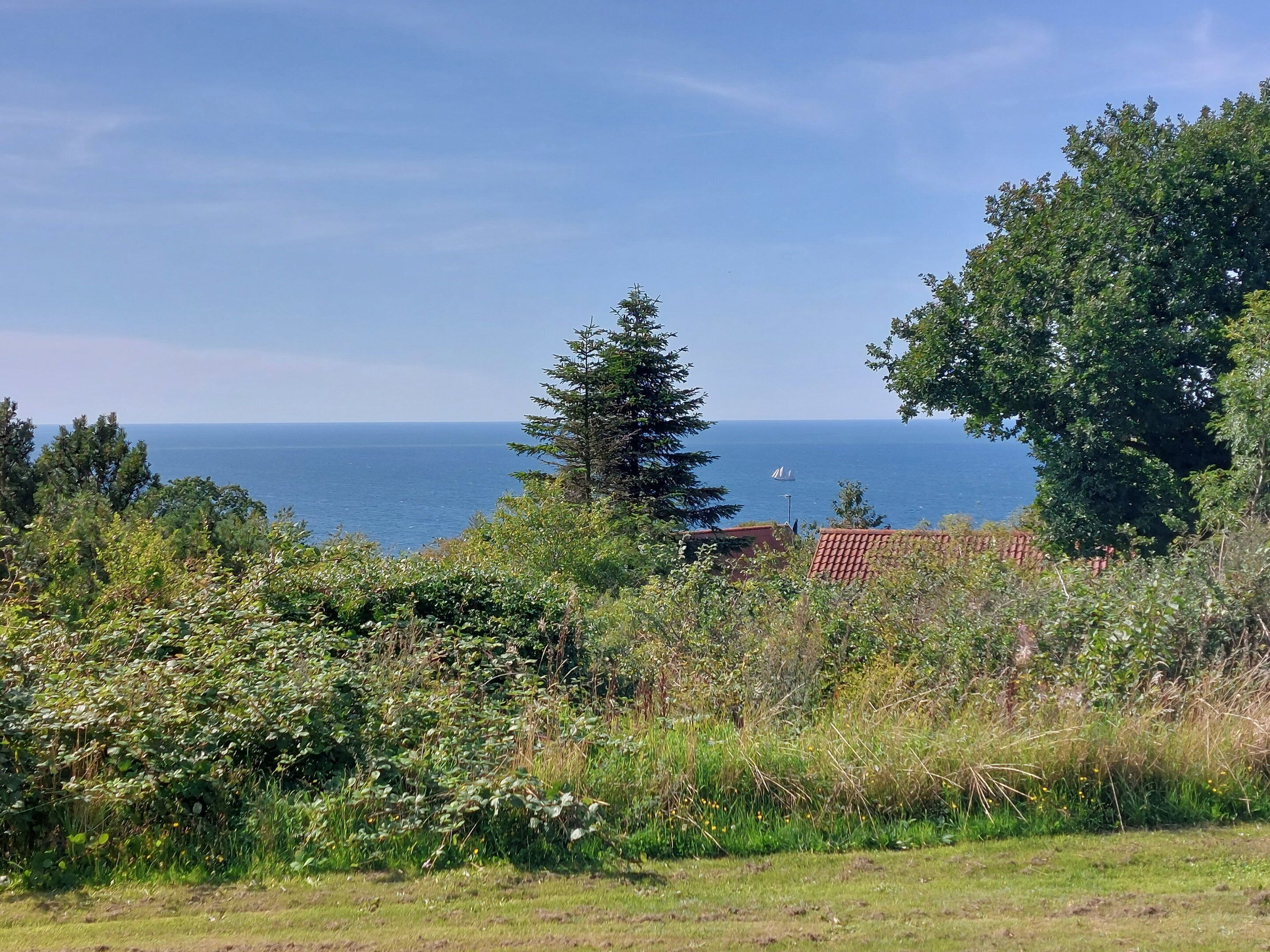 Un paisaje costero con una vista despejada del mar, abundante vegetación y un edificio de techo rojo.