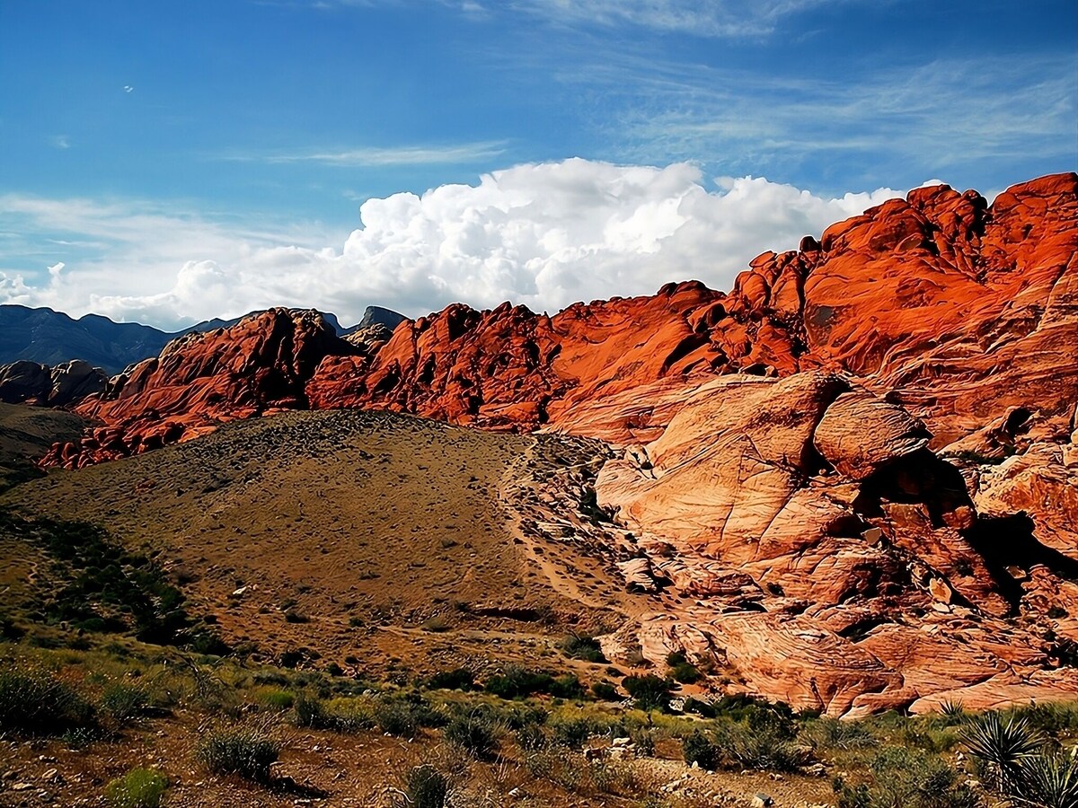 Explore Red Rock Canyon National Conservation Area! 4 Family-friendly Units!